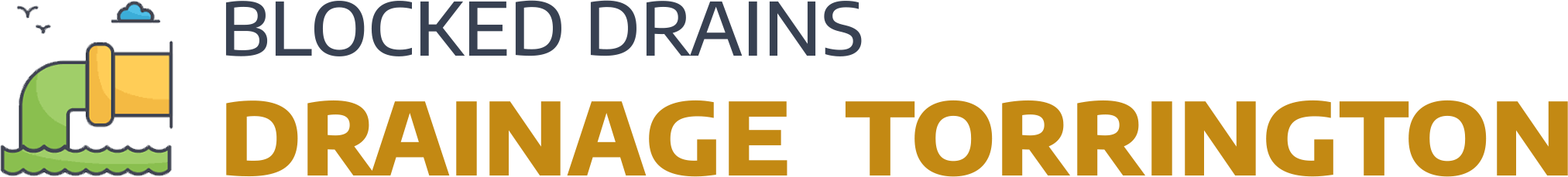 website logo